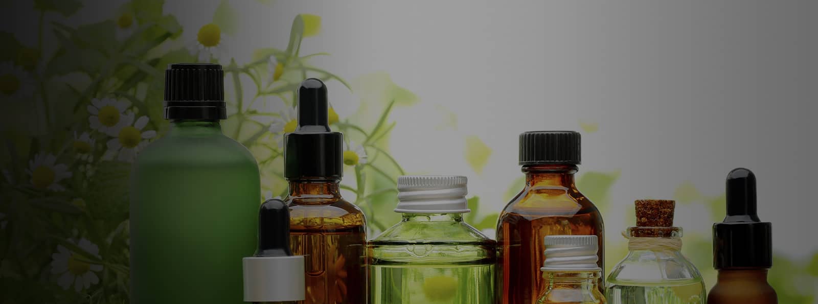 Essential Oils vs Modern Medicine, Which Works Best?